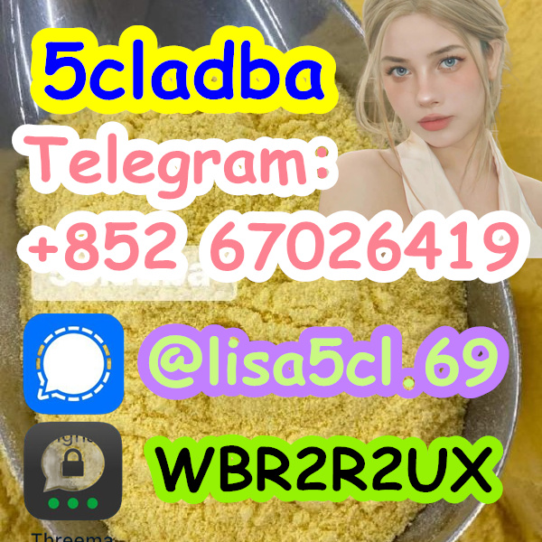 bc7dcfb2-8f56-47df-ab57-a30115990180_副本3