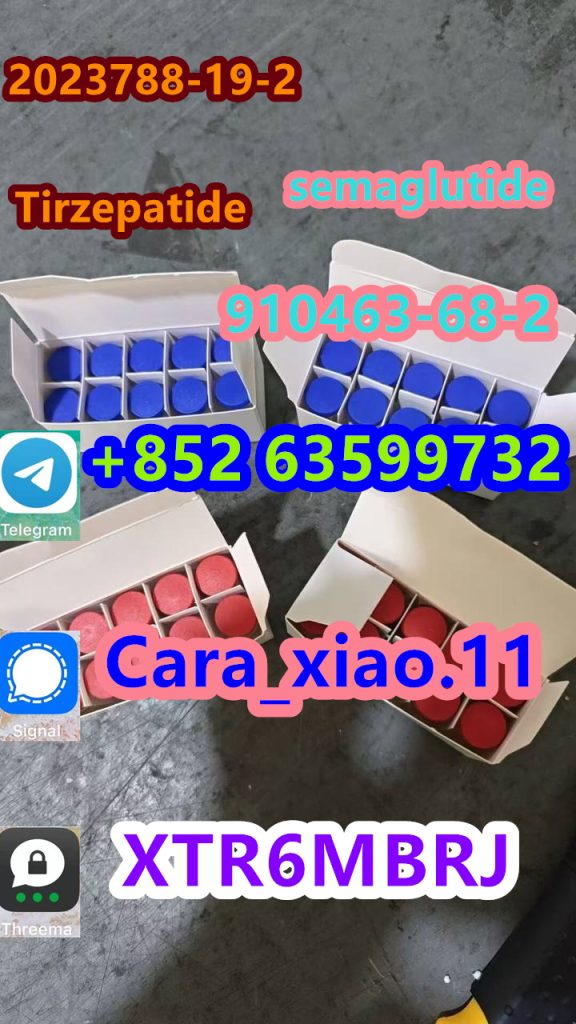 photo_2024-12-30_13-38-30