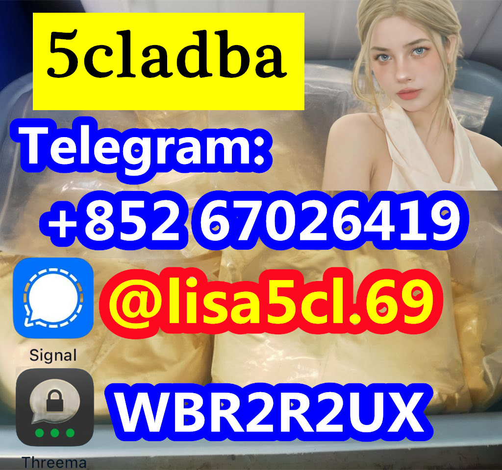 0efd49e5-efe3-4638-9055-da4eb8b3f759_副本