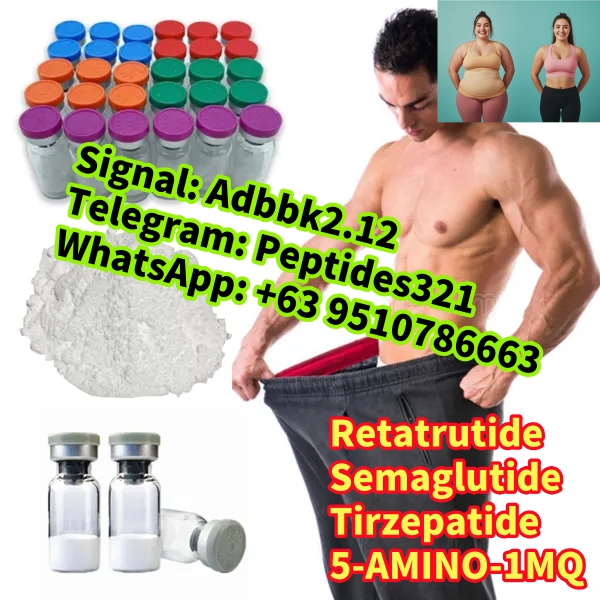 1740370227427_副本