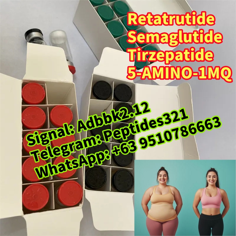 1740370323655_副本