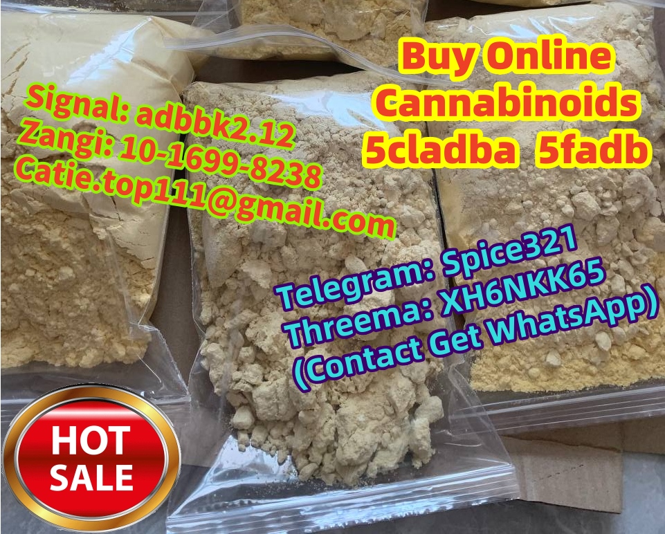 6210558242736686203_副