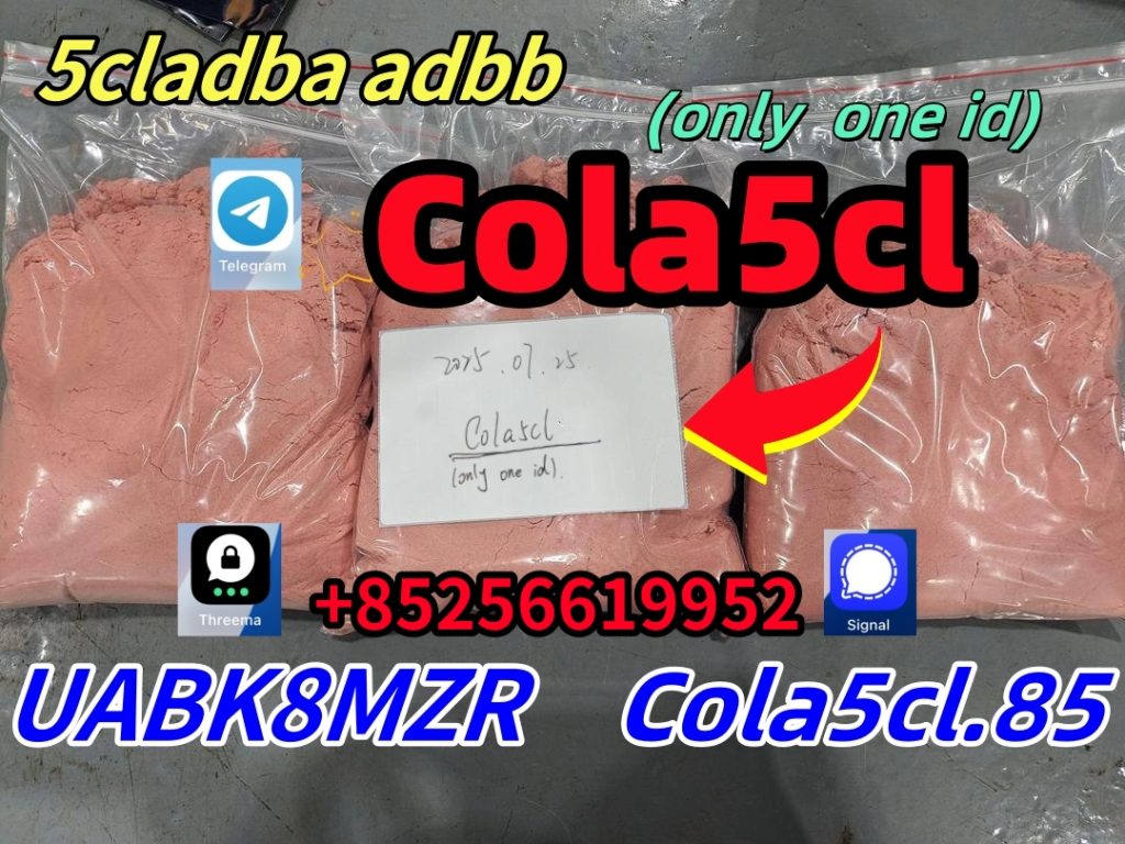 asfvsasafv副本_副本_副本