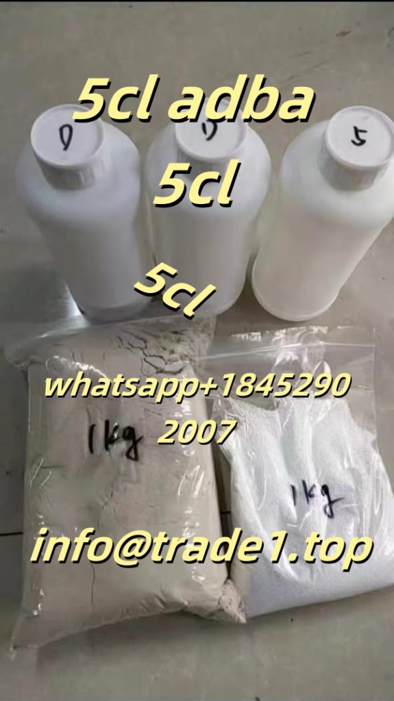 d6cfc82bb3f24b2b561f2c82678cc7a