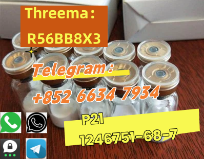 QQ图片20250730142231