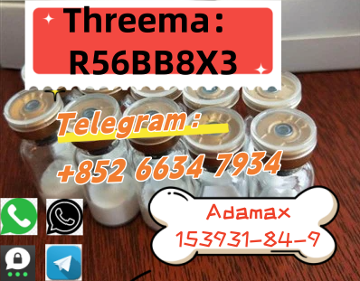 QQ图片20250730142231