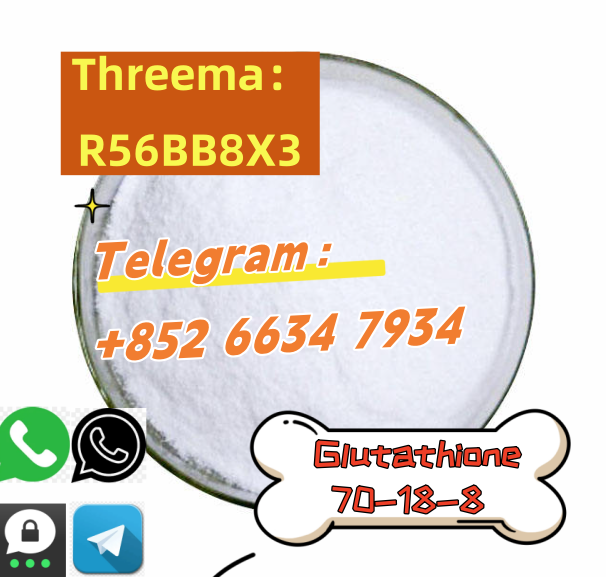 QQ图片20250730144453