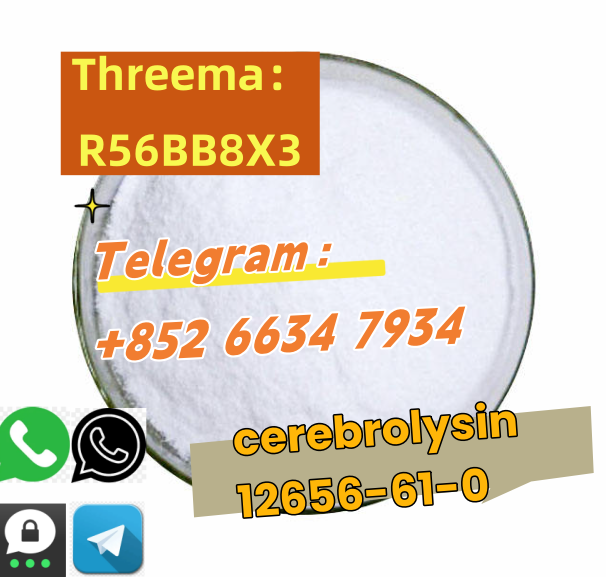 QQ图片20250730144453