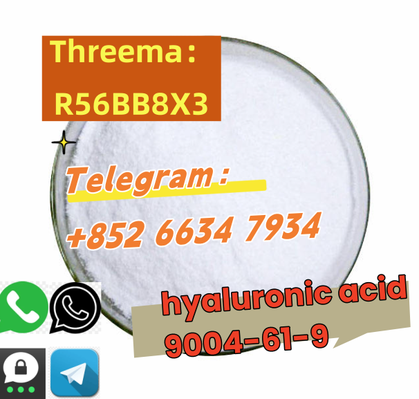 QQ图片20250730144453