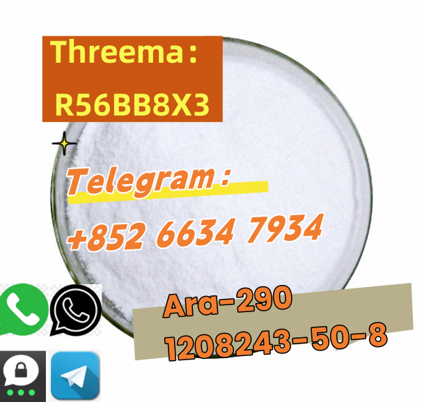 QQ图片20250730144453