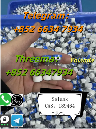 QQ图片20250730144945