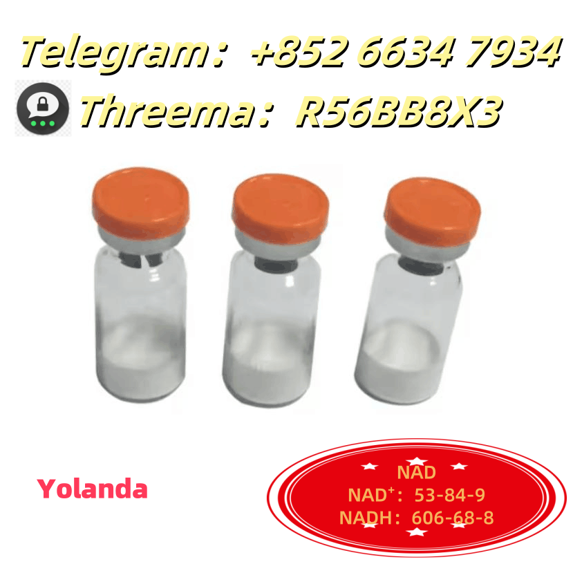 QQ图片20250731102348