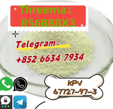 QQ图片20250804101014 – 副本