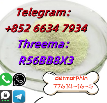 QQ图片20250804101014 – 副本