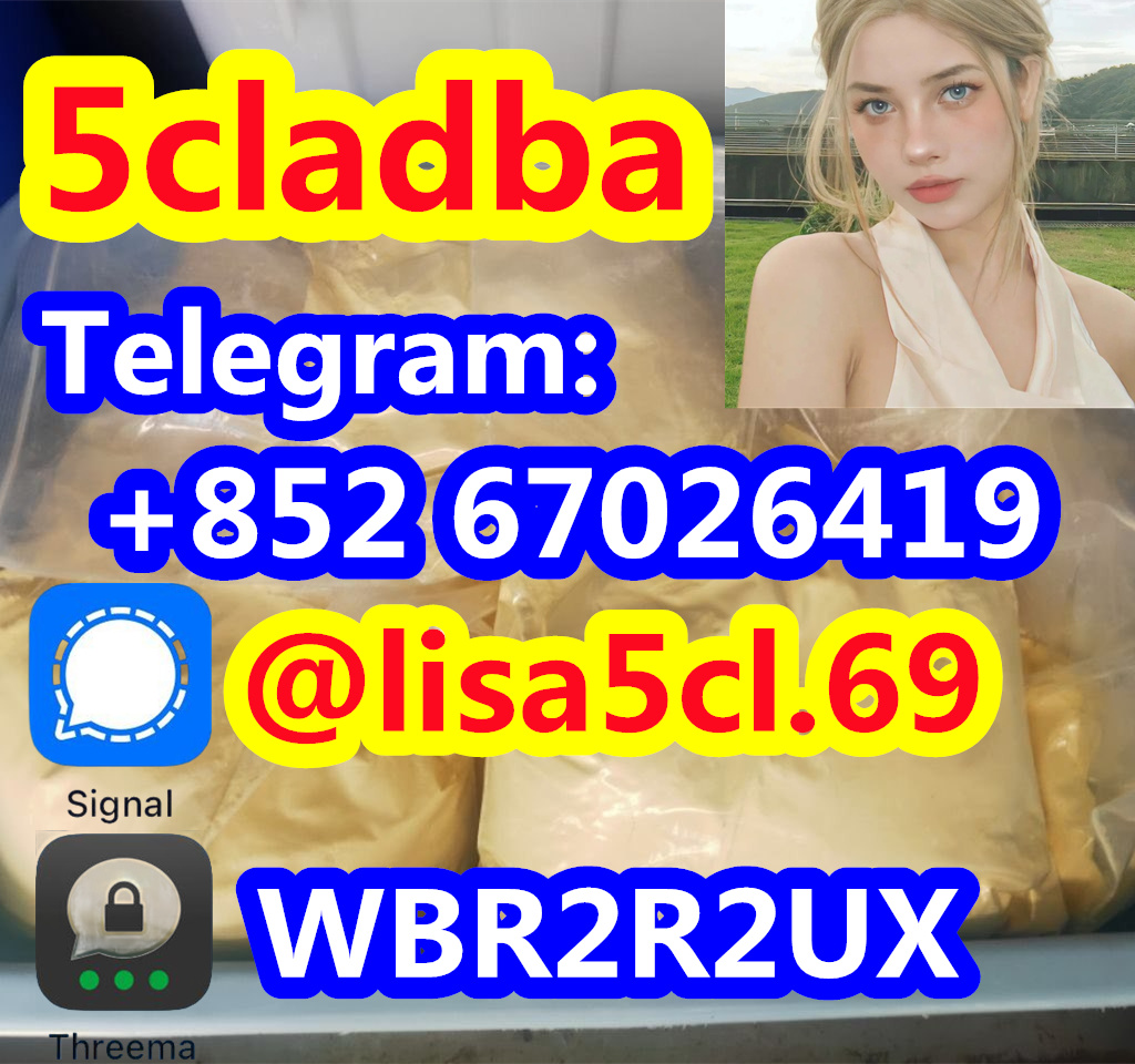 0efd49e5-efe3-4638-9055-da4eb8b3f759_副本4