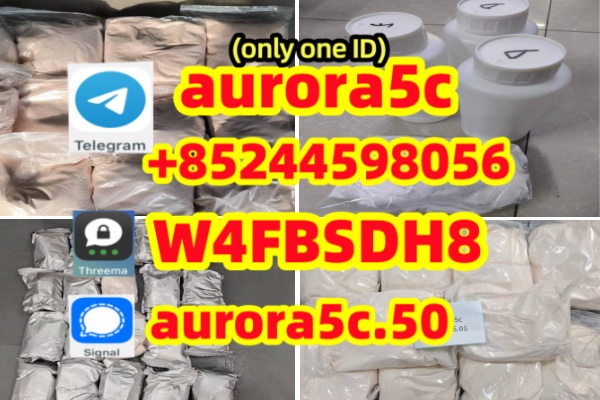 19 – 副本 – 副本