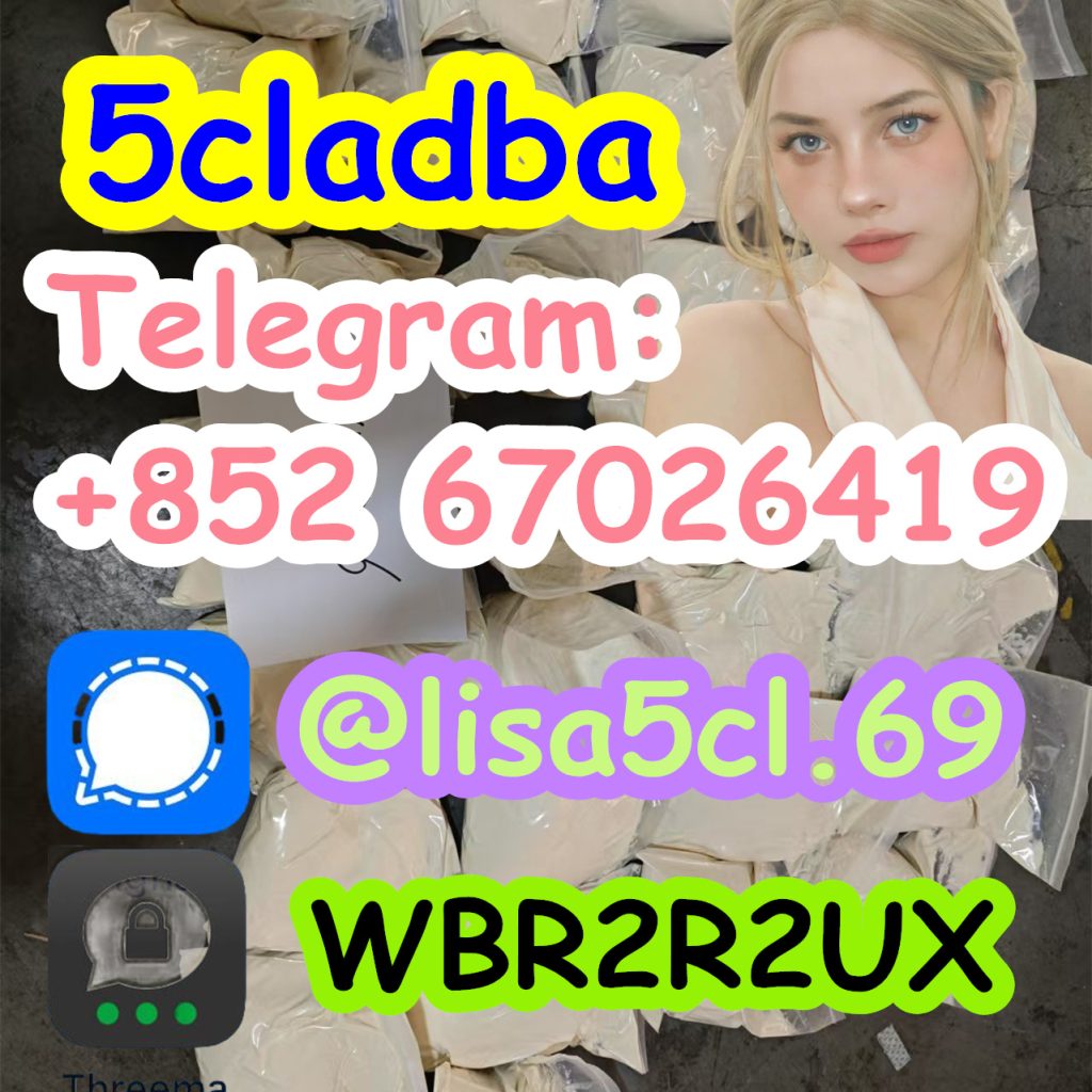 88d53e2f-bfb5-41f8-b568-53f05734331b_副本1