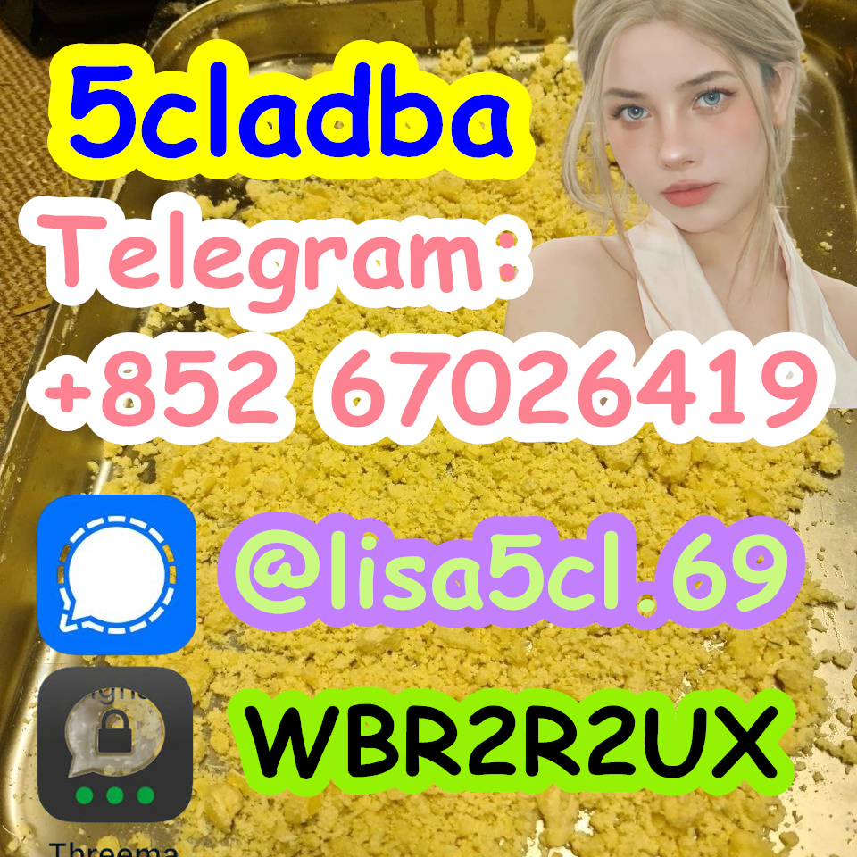 9e61eb28-1565-4d4b-a28b-875ccd3e696a_副本2