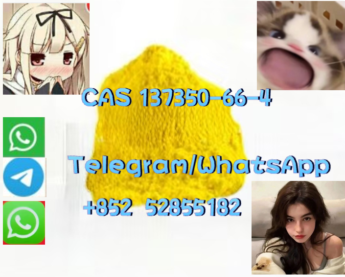 图片_20250918161107_62_3