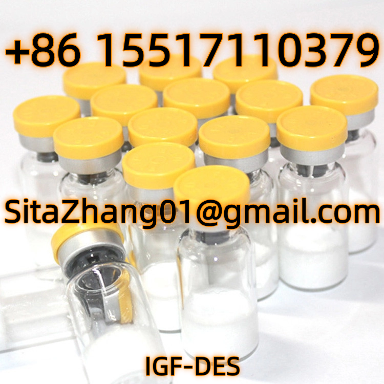 微信图片_20250915195303