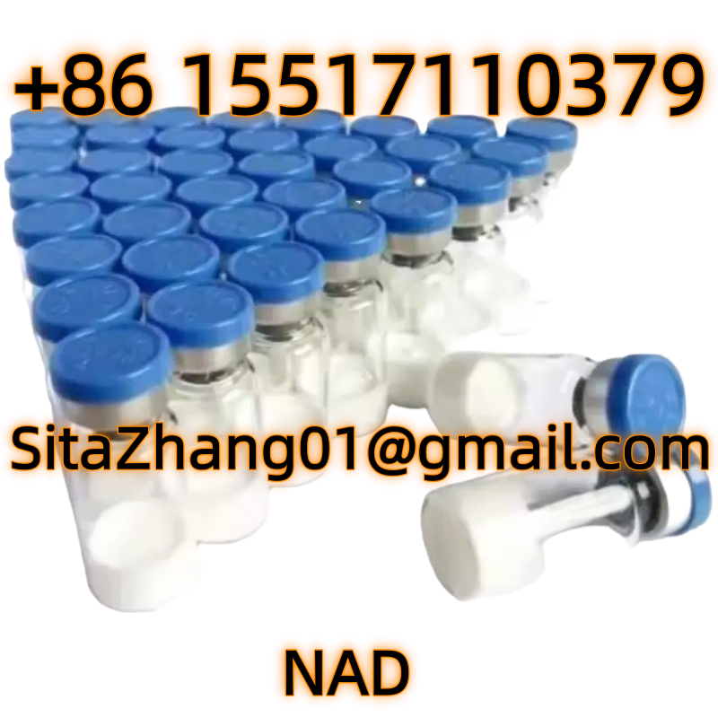 微信图片_20250916205916