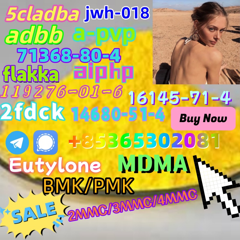 1 (1) – 副本 – 副本