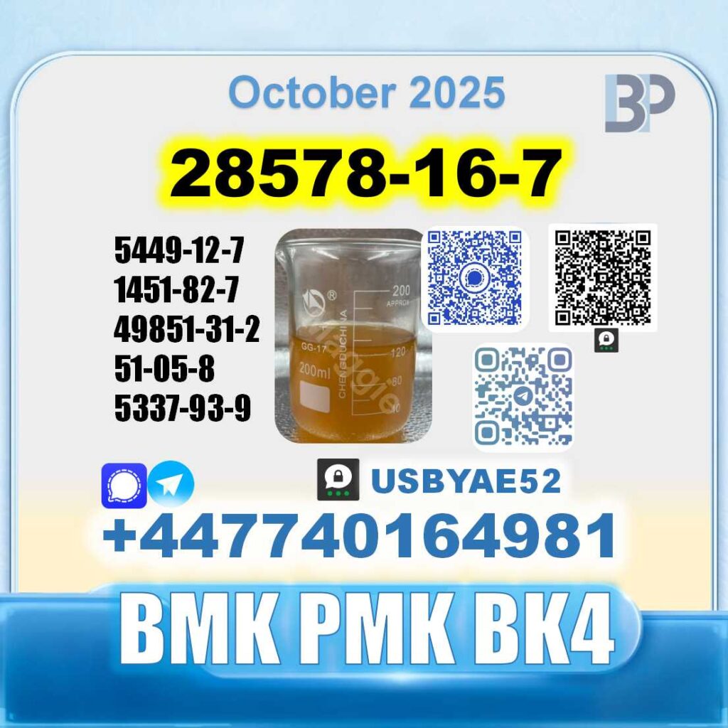 28578-16-7 PMK bmk (1)