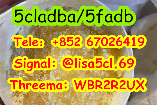 c39dc2fe-0119-4958-8968-af1c44208b1f_副本3