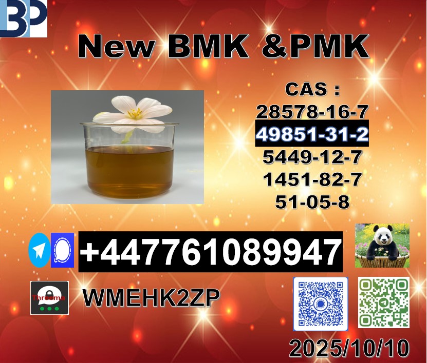 屏幕截图 2025-10-10 161806 – 副本 (6) – 副本