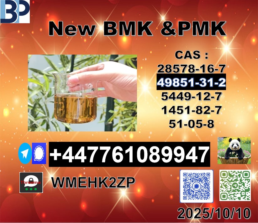 屏幕截图 2025-10-10 161848 – 副本 (6)