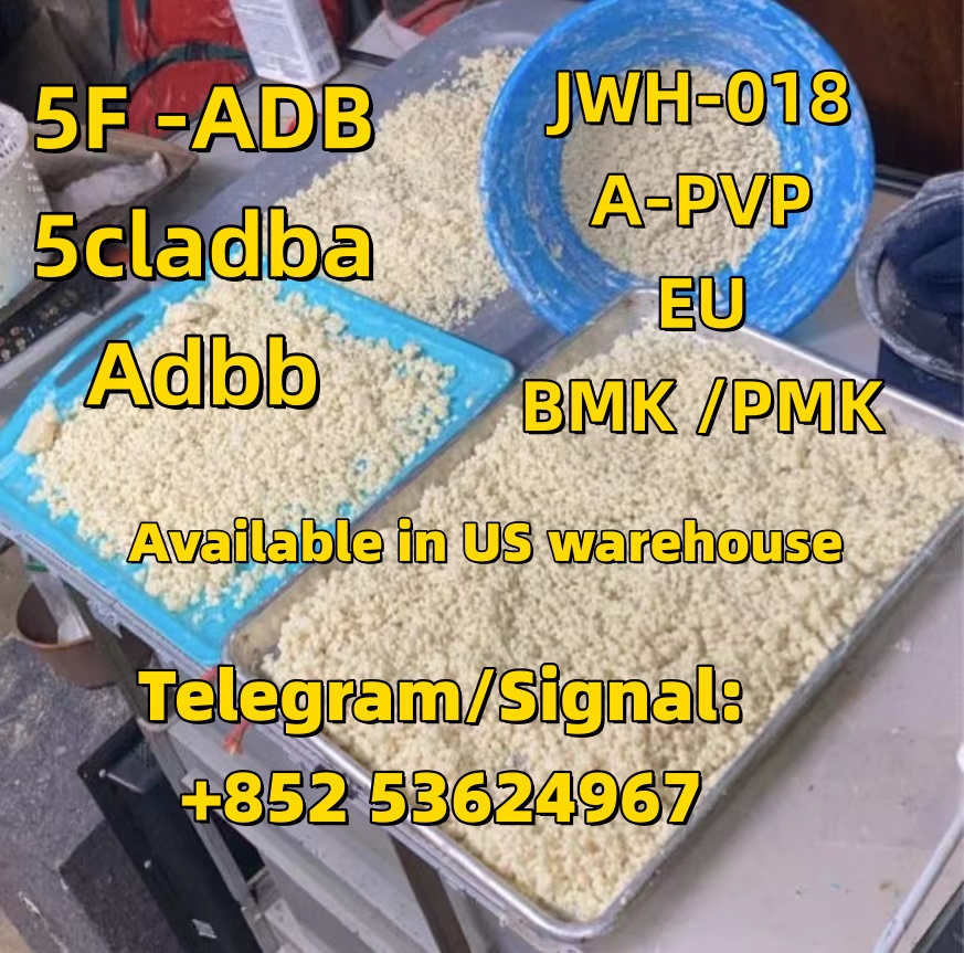 微信图片_20250529111203