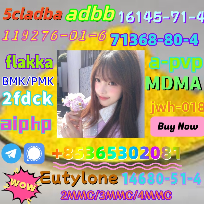 1 (1) – 副本 – 副本