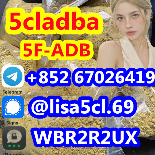 1463202403260216_副本3