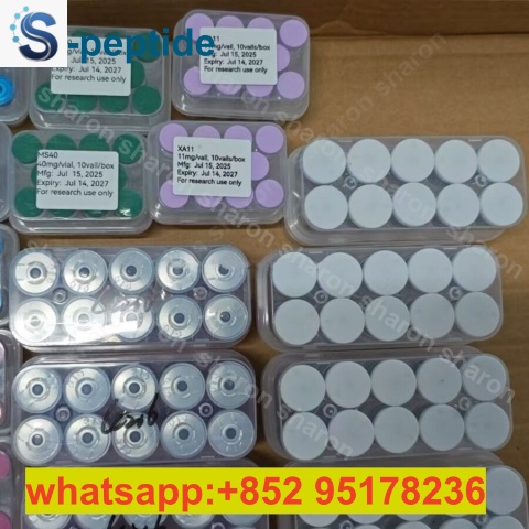 2025092216261549_53703