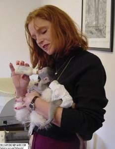 604050-4e8f342faa8e32edf916a45f3