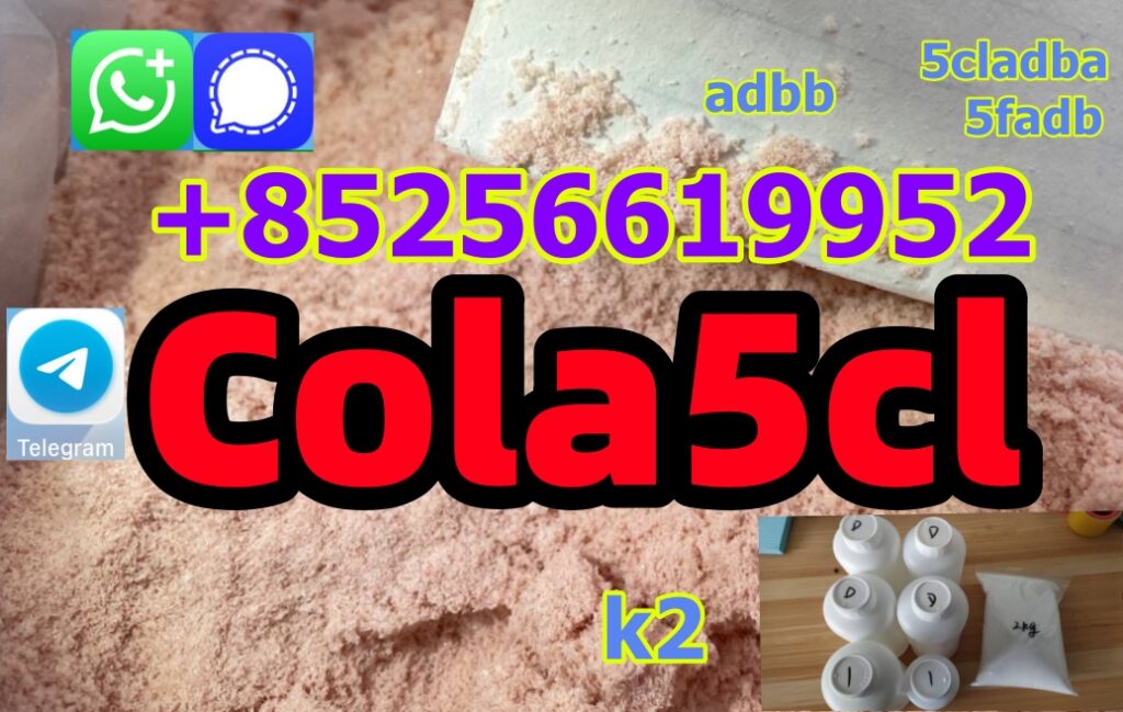 882167f3e4df5183bb991a6e42488abd_副本