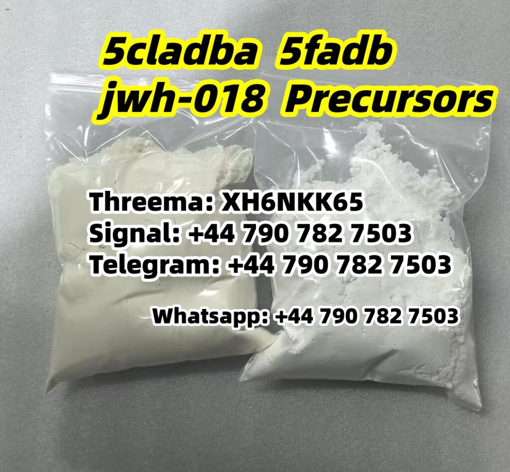 93bdcf1b26f9110c2c8080ba0e8589f5_副本