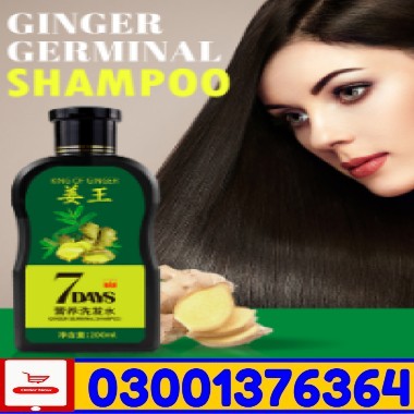 Aichun Beauty Hair Oil + Shampoo Pack Price in Pakistan