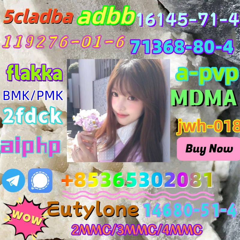 photo_6192803247366981104_x